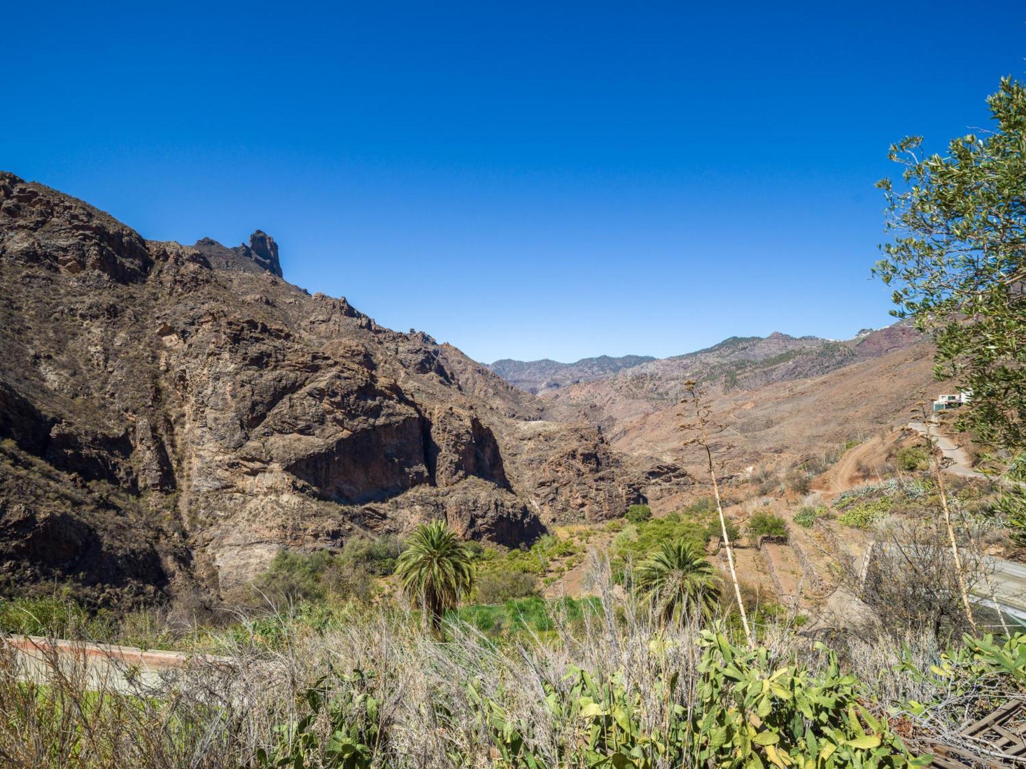 Rural La Montana Ferienhaus Tejeda (Gran Canaria)